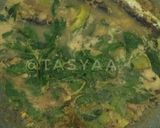 Foto langkah ke 4 dari resep Ikan Santan Kemangi.