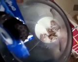 A picture of step 4 of Oreo ice cream milkshake.
