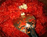 A picture of step 5 of Gajar ka Halwa 😋😋.