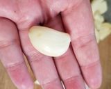 A picture of step 5 of Preserving fresh minced garlic.