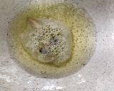 A picture of step 3 of மட்டன் ஈரல் மசாலா.
