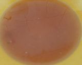 Foto langkah ke 1 dari resep 32. Mango sago.