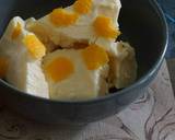 Orange frozen yogurt recipe step 3 photo