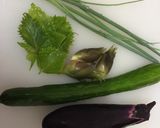 A picture of step 1 of Japanese cucumber and eggplant salad.