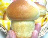 Foto langkah ke 9 dari resep Bluder (Roti Jamur)🍞.