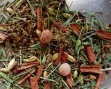 A picture of step 2 of Rajwadi tea masala.