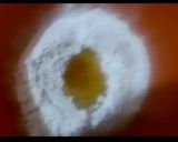 Une image de l'étape 1 de Gâteaux aux miel égyptien (les doigts de zenabe).