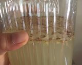 รูปขั้นตอนการทำที่ 1 ของ Ginger Bug