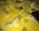 Foto langkah ke 4 dari resep Opor Ayam.