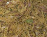 A picture of step 3 of Pyaaj k pakode.