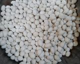 Foto langkah ke 7 dari resep Kacang Atom/ Sukro.