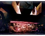 Foto del paso 11 de la receta: La Gargouillou, de Michel Bras