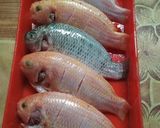 Foto langkah ke 1 dari resep Ikan Nila saus pedas manis.