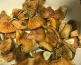 Foto del paso 4 de la receta: Revuelto de huevo y rovellons (níscalos)