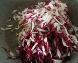 Foto del passaggio 4 della ricetta #171 Radicchio al vino rosso