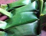 Foto langkah ke 5 dari resep Lemet Singkong ala Ibu.