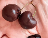 Foto del paso 5 de la receta: Cerezas bañadas en chocolate versión saludable 🍒