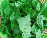 Hình bước làm 1 của món Canh cải xanh nấu tôm