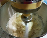 Foto del paso 4 de la receta: Galletas de Nueces Albanesas ó KURABIE!