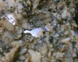 A picture of step 2 of Aloo bathuwa paratha.