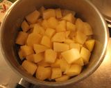 Foto del paso 8 de la receta: Pezcau gratinau y de-mases