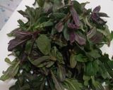 عکس مرحله 2 از دستور کوکوی پونه محلی