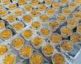 Foto langkah ke 3 dari resep Puding sutra buah.