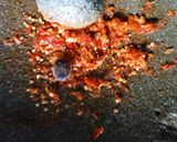 Foto langkah ke 3 dari resep Sambal Rujak Kacang Tanah.