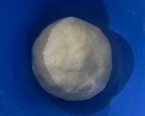 Foto langkah ke 2 dari resep Bakpao (No Mixer).