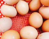 Hình bước làm 1 của món Bánh flan nước cốt dừa