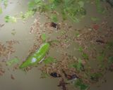 A picture of step 2 of Boiled rice.
