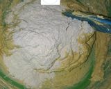 Foto langkah ke 5 dari resep Butter Marbel Cake.