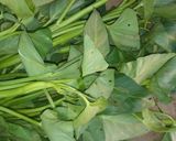 Foto langkah ke 2 dari resep Plecing kangkung khas lombok.