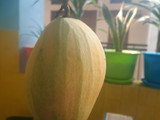 Asinan Mangga Mentimun