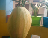 Foto langkah ke 1 dari resep Asinan Mangga Mentimun.
