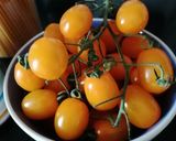 Foto del passaggio 2 della ricetta Spaghetti al datterino giallo, sapore di mare🏖️