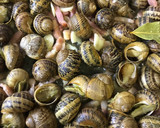 Foto del paso 3 de la receta: Caracoles a mi estilo