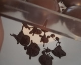 Foto del paso 3 de la receta: Bombones de chocolate rellenos de cajeta