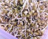 Sprout Moong Salad recipe step 5 photo