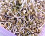 A picture of step 5 of Sprout Moong Salad.