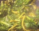 A picture of step 3 of Turnip and Greens.