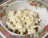 A picture of step 6 of Summer Fit Protein Bowl(Protein Balls with Hung Curd Salad – Weight Loss Special).