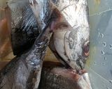 Gambar langkah 1 resipi 14:9:26 - Gulai ikan ayaq.