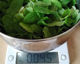A picture of step 1 of Vickys Fresh Mint Ice Cream, GF DF EF SF NF Vegan.
