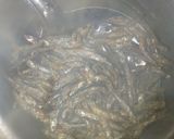 A picture of step 3 of Omena.