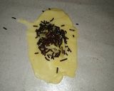 Foto langkah ke 10 dari resep Pisang bolen non korvset.