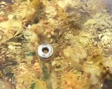A picture of step 8 of Falahari Vrat Wale Aloo.