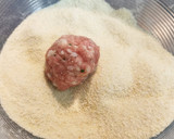 Foto del paso 6 de la receta: Guiso de Sepia con Albóndigas a la Catalana