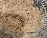 ભાખરી (Bhakri Recipe In Gujarati) રેસીપી સ્ટેપ1ફોટો