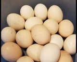 A picture of step 1 of Spicy egg.